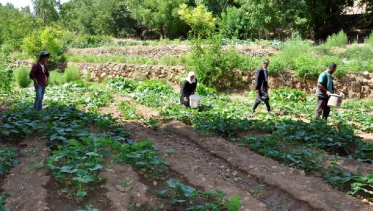 200 yıllık geleneği sürdüren köylüler hasta olmuyor