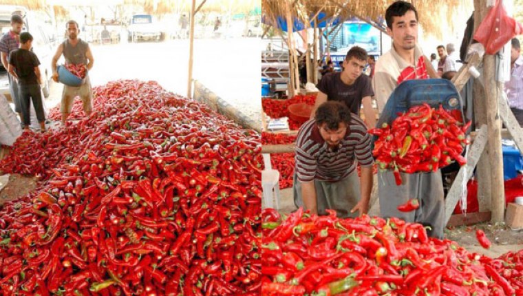 Acı da olsa; İş iştir