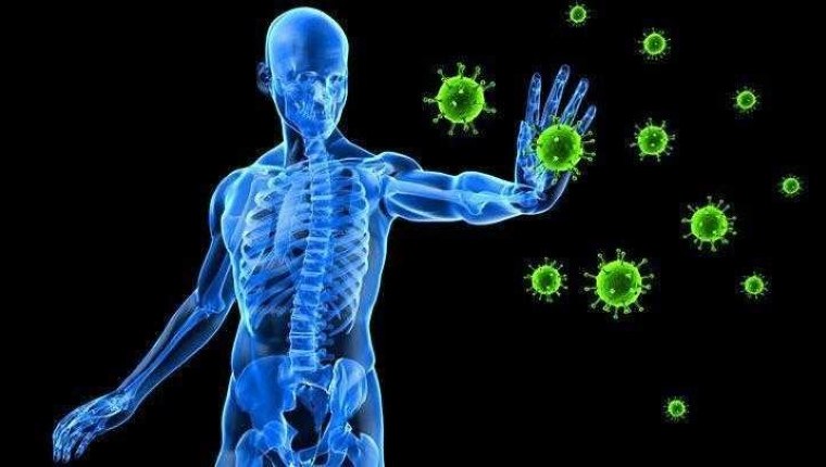 Bağışıklık sistemi nedir?