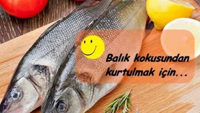 Balık kokusu evden nasıl çıkar?