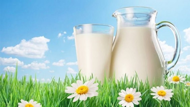 Günde iki bardak süt içmenin faydaları