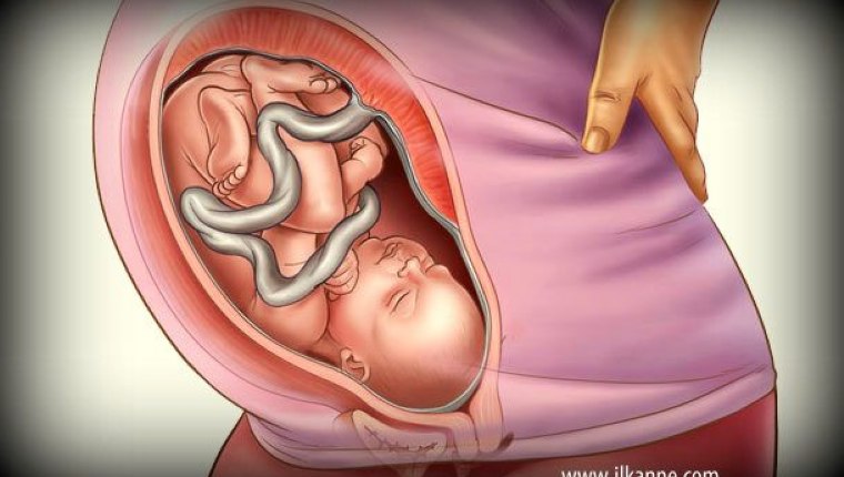 Hamilelikte nasıl beslenmeliyiz?