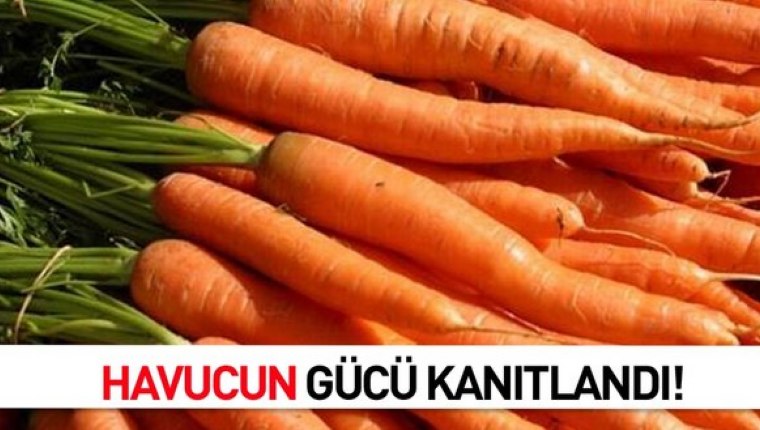 Havucun gücü kanıtlandı!