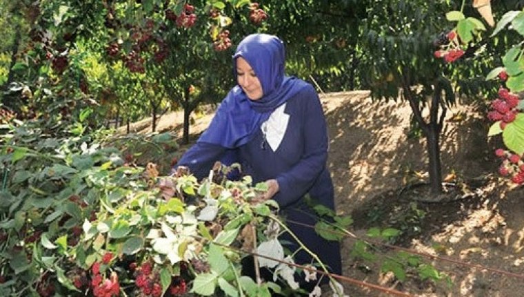 Hayrünnisa Gül: Bahçeyle uğraşmak beni dinlendiriyor