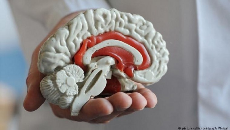 İnternet Bağımlılığı Beyni Değiştiriyor