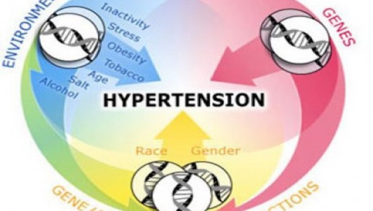 Kadın'lar daha çok Hipertansiyon oluyor