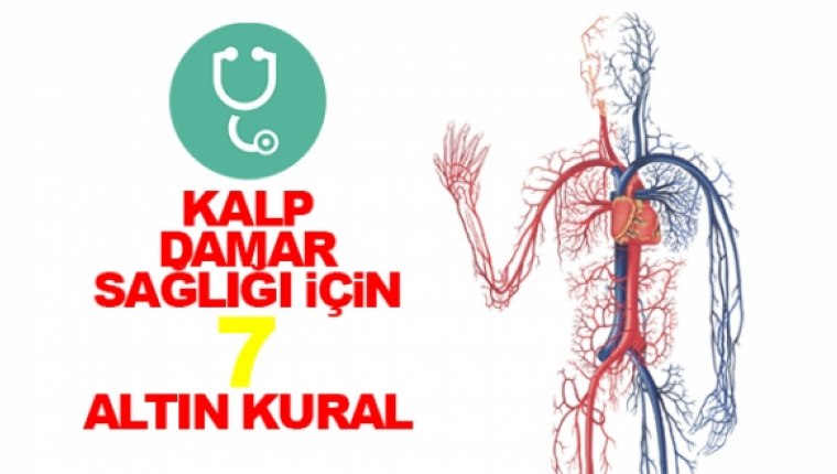 Kalb ve damar hasatlıkları ölüm riskini arttırıyor