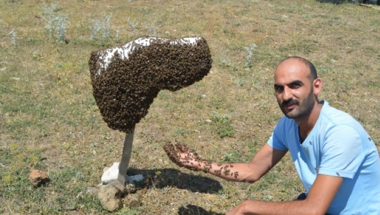 Kanser hastası oğlunu bal ile tedavi eden baba, arıcılığı meslek edindi