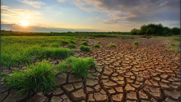 Küresel ısınma 'gıda şoku' riskini yükseltiyor