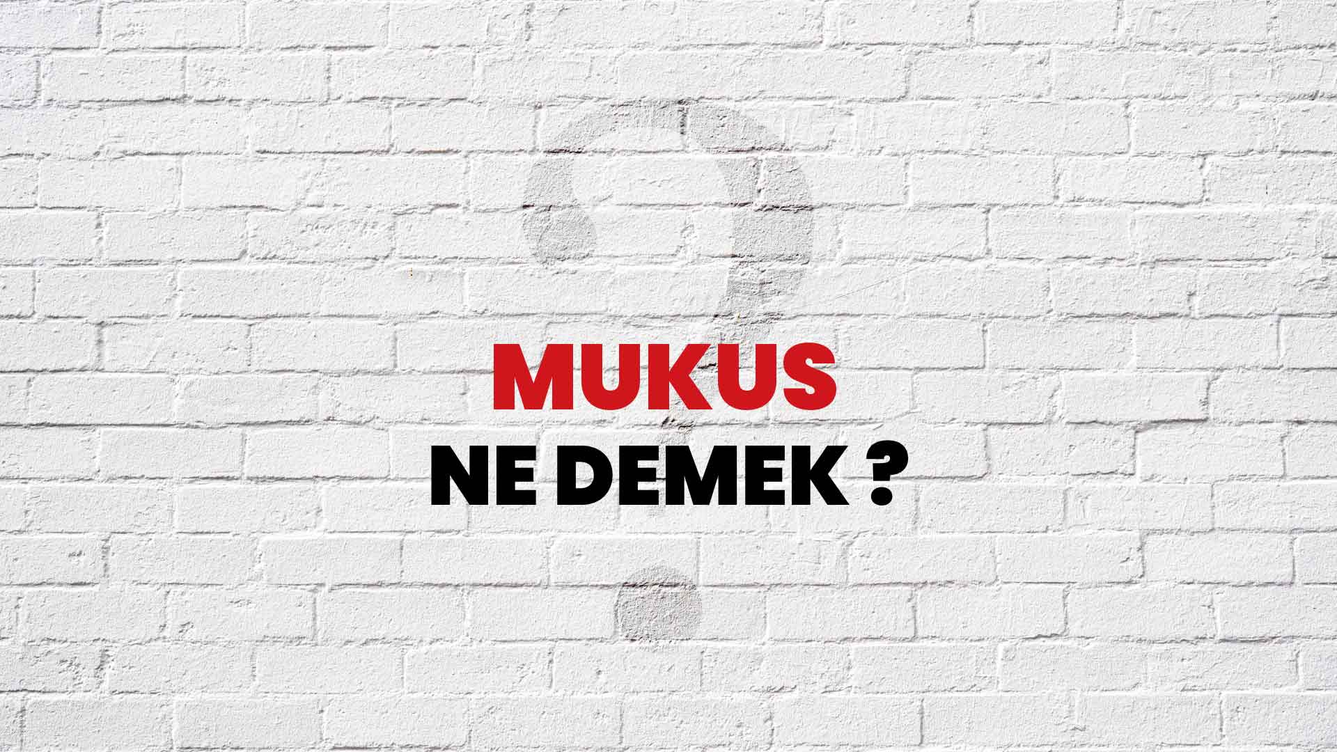 Mukus nedir, Vücuttaki işlevleri nelerdir