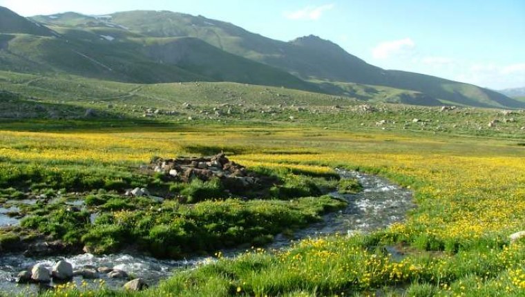 Ordu'da doğal eczane