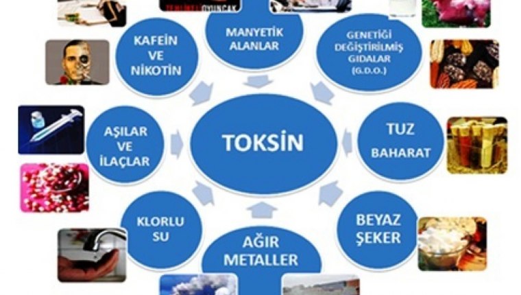 Sağlık sorunlarının en önemli nedeni toksinler