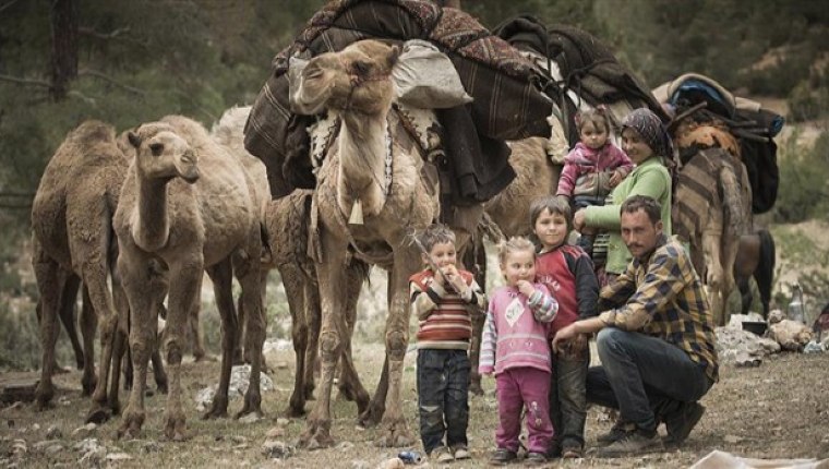 Sarıkeçili yörüklerinin son 'develi' konargöçerleri