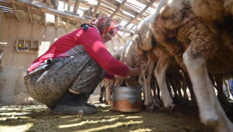 Teknolojiye karşı direnen kadınlar