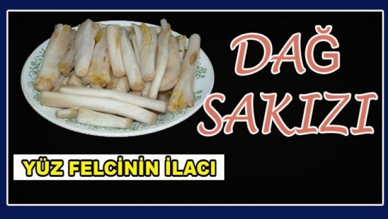 Yüz Felcine Dağ sakızı İyi Gelir